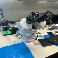Stereo Microscope image 0